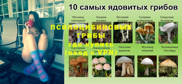мдпв Липки