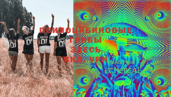 мдпв Липки