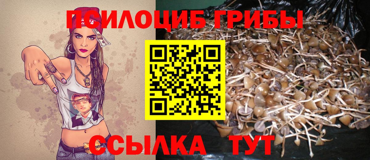 Таганрог  Псилоцибиновые грибы Magic Shrooms  Вход с VPN 