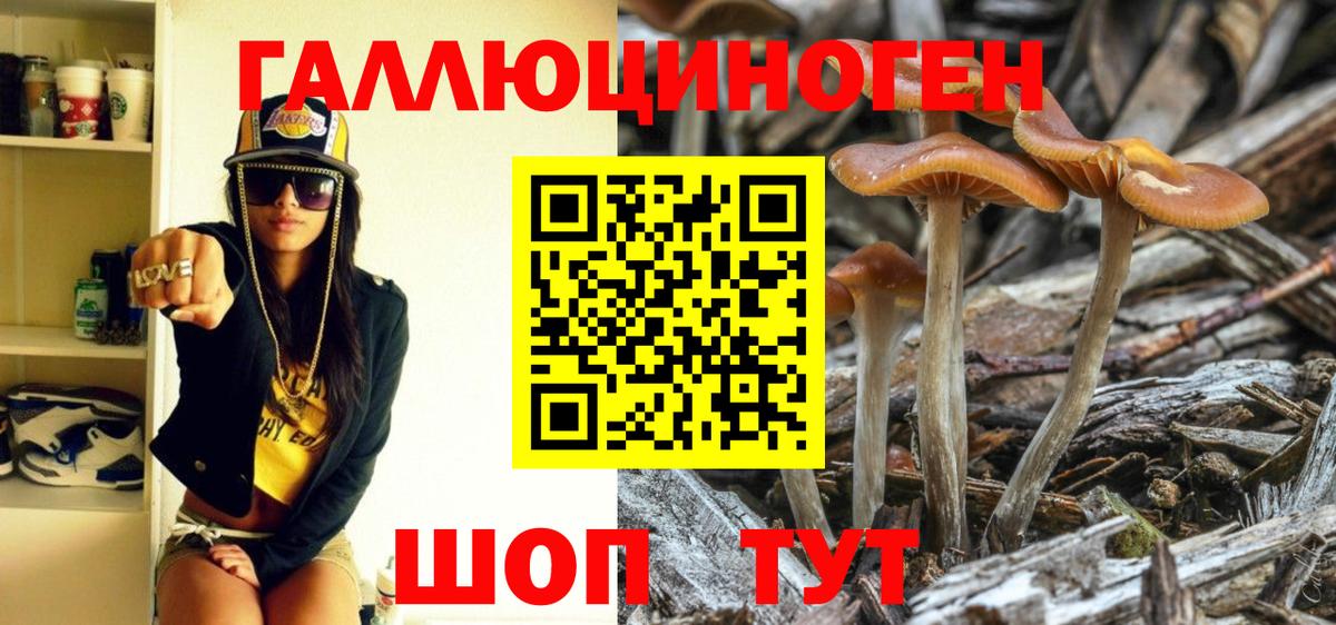 Псилоцибиновые грибы MAGIC MUSHROOMS Таганрог